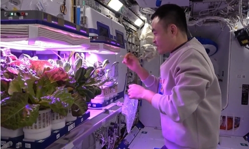 우주서 채소를 재배중인 중국인 우주비행사 [CCTV 캡처]